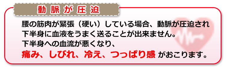 腰の筋肉が緊張(硬い)している場合、動脈が圧迫され下半身に血液をうまく送ることが出来ません。下半身への血流が悪くなり、痛み、しびれ、冷え、つっぱり感がおこります。