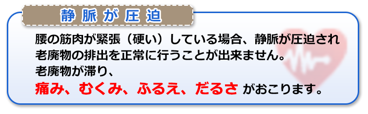 腰の筋肉が緊張(硬い)している場合、静脈が圧迫され老廃物の排出を正常に行うことが出来ません。老廃物が滞り、痛み、むくみ、ふるえ、だるさがおこります。